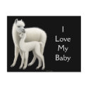 Alpaca Love Postcard