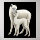 Alpaca Love Poster