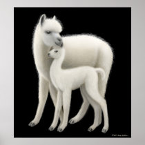 Alpaca Love Poster