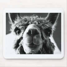 Alpaca Mouse Mats