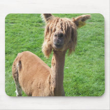 Alpaca Mousepads