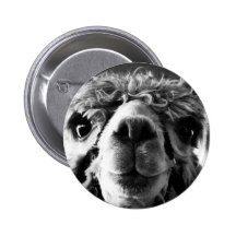 Alpaca Pin