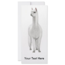 Alpaca Rack Card