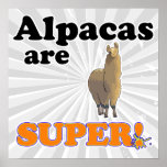 alpacas are super posters