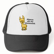 Alpacas ate my Homework