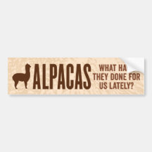 Alpacas Bumper Stickers