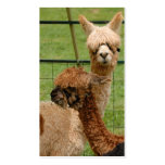 Alpacas Business Cards