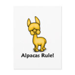 Alpacas Rule!