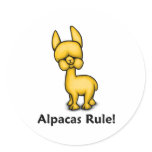 Alpacas Rule!
