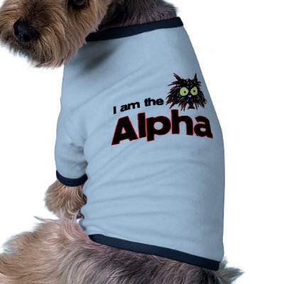 Alpha Cat Dog Clothes by tuffkittydesigns