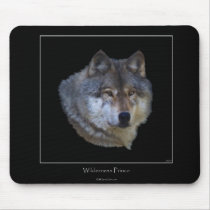 Alpha Grey Wolf Collection