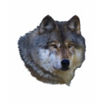 Alpha Grey Wolf Collection t-shirts