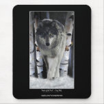 ALPHA GREY WOLF Wildlife Supporter Mousepad