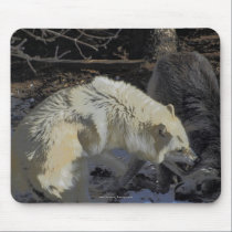 Alpha Male Wolf Challenge Battling Wolves mousepads