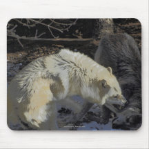 Alpha Male Wolf Challenge Battling Wolves Mouse Pad
