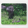 Alpha Male Wolf with Grey Wolf Cub Wildlife Mouse Pad