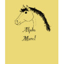Alpha mare t-shirts