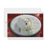 ALPHA POLAR BEAR invitations