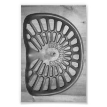 Alphabet Letter D9 Black and White 4x6 Art Photo