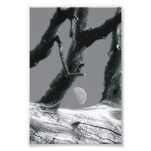 Alphabet Letter Photography M7 Black and white 4x6