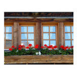 Alpine Chalet Window Postcard