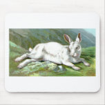 Alpine Hare Mouse Mats