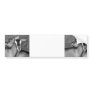 Alpine/Oberhasli goat does sisters photograph bw Bumper Sticker