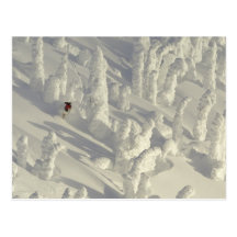 Alpine Skier in thick snowghosts at Big Post Card