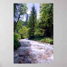 Alpine Stream Print