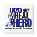 ALS Never Knew A Hero 2 Grandmother