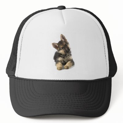 Alsatian Hat by petpupz