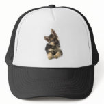 Alsatian Hat