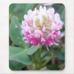 Alsike Clover Blossom 1 Mousepad