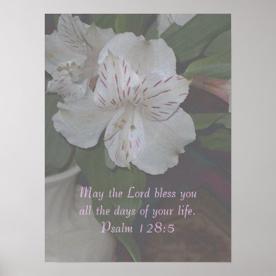 Alstroemeria Bloom ~ Psalm 128:5 by Judith_Heath