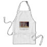 Altarpiece Of San Silvestro In Montappone Aprons