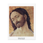Altarpiece Of St. Luke  By Andrea Mantegna Postcards