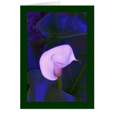 Altered Blue Arum Lily on Green by JuJuGardens