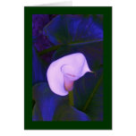 Altered Blue Arum Lily on Green Greeting Card