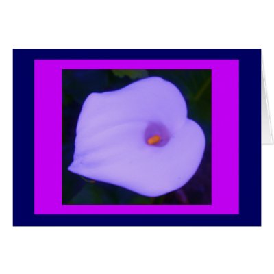 Altered Blue Arum Lily on Magenta by JuJuGardens