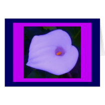Altered Blue Arum Lily on Magenta
