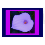 Altered Blue Arum Lily on Magenta cards