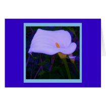 Altered Blue Arum Lily on Purple