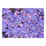 Altered Blue Floral Succulents Greeting Cards