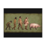 Altered Evolution