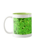 Altered Lime Flowered Succulents Coffee Cup Coffee Mug