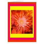 Altered Orange Cactus Flower Card