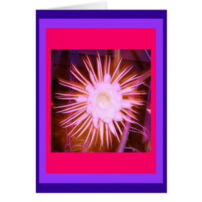 Altered Pink Cactus Flower by JuJuGardens