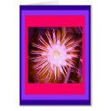 Altered Pink Cactus Flower cards