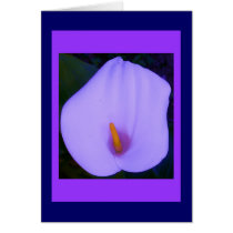 Altered Purple Arum Lily on Blue