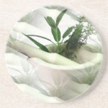 Alternative Medicine Coasters